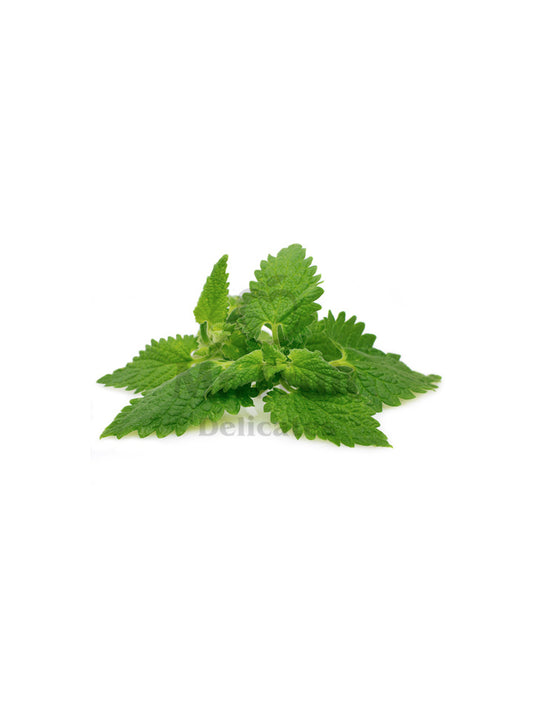 Menta